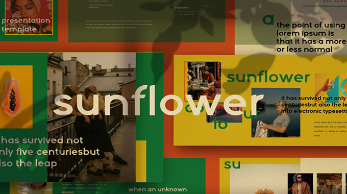 <b>苏州广告公司—我们的季节颜色：大胆的向日葵</b>